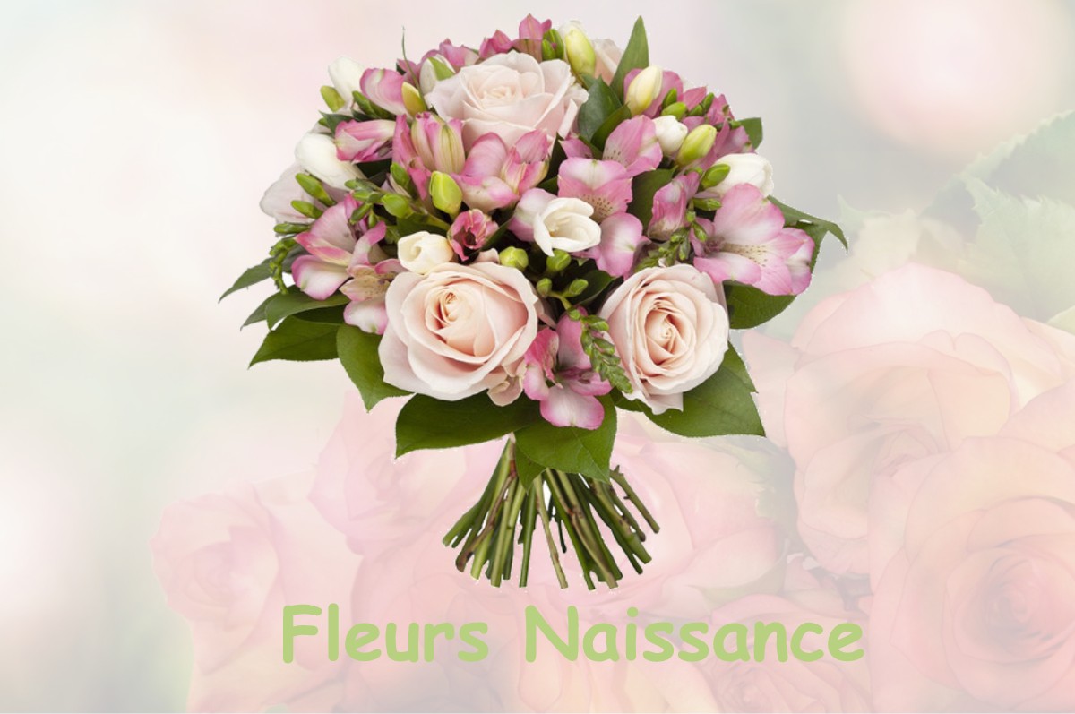 fleurs naissance NIEUL-LE-DOLENT