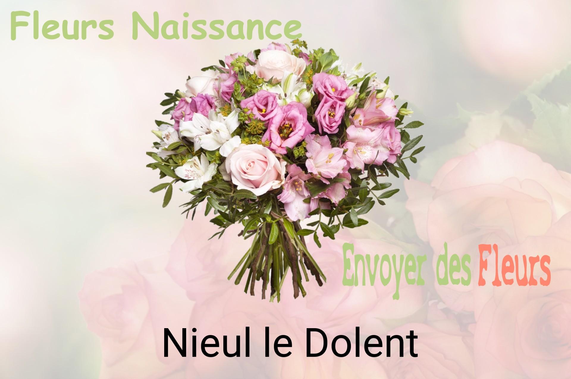 Bouquet de fleurs de naissance livré à Nieul-le-Dolent
